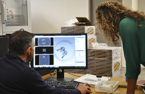 Center for Quantitative X-ray Imaging co-directors Tim Ryan and Zuleima Karpyn view a 3-D image scanned on the center’s new high-resolution scanner. IMAGE: Angela Kendall