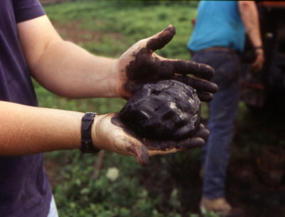 coal slurry in hands