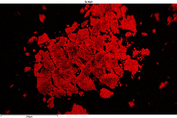 Energy dispersive X-ray spectroscopy isolating rare earth elements from coals wastes